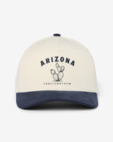 Drifted Dunes Snapback Hat