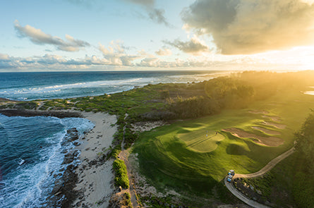 7 Days of TM, Day 1: Turtle Bay Stay & Play