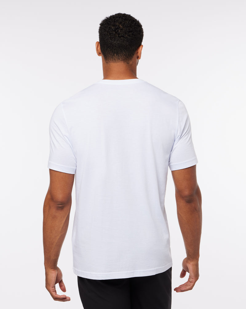Diablo 2.0 Tee