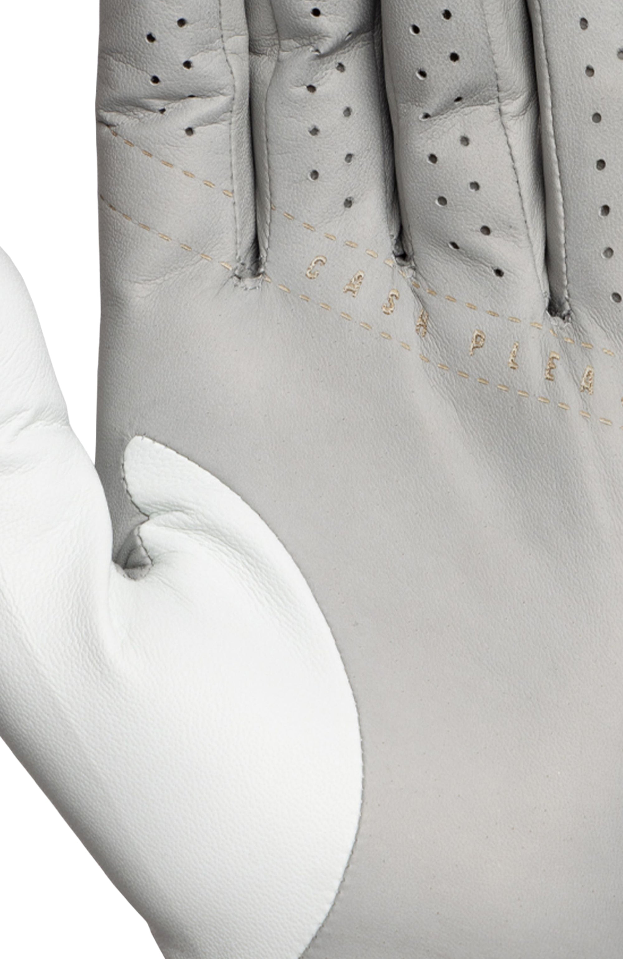 Between The Lines Glove