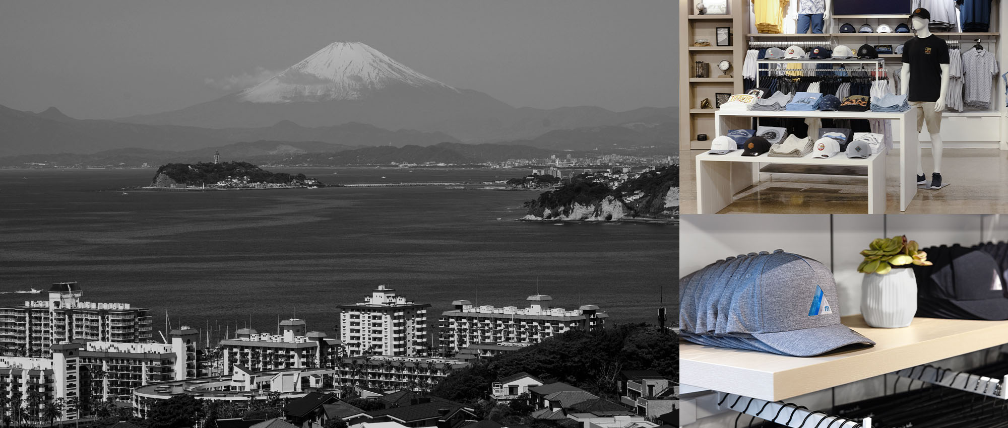 TravisMathew Shonan